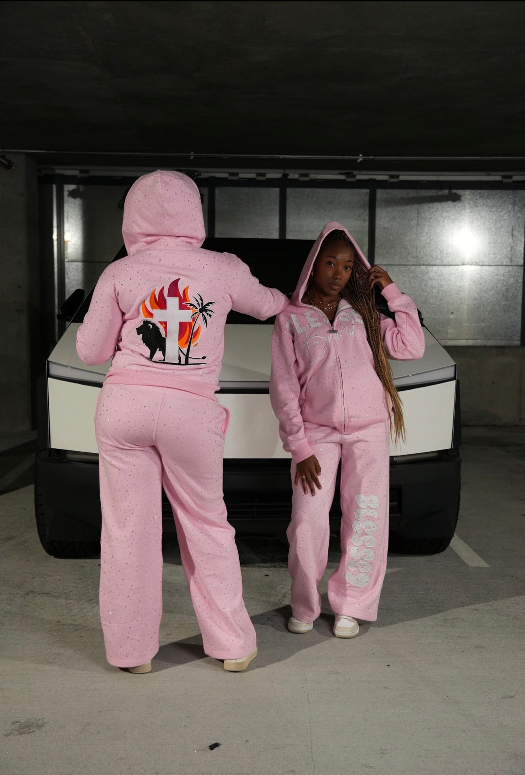 Blessed Brand Rhinestone Heavyweight Hoodie