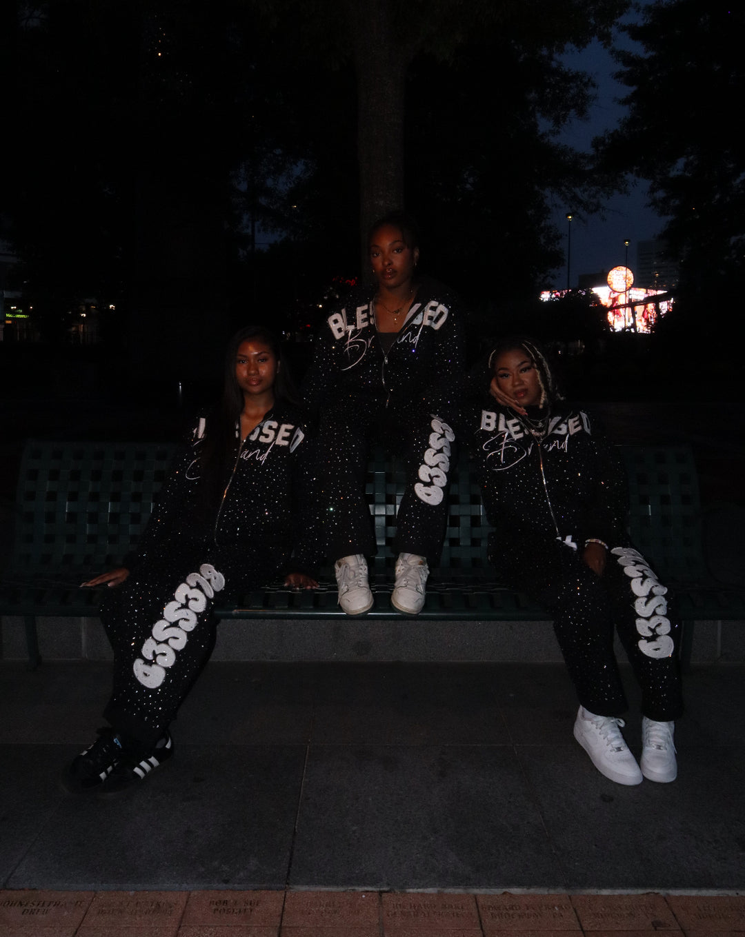 Blessed Brand Rhinestone Heavyweight Hoodie (Pre-Order)