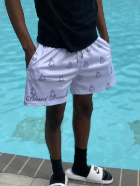 Blessed Brand Mesh Shorts (Pre-Order)